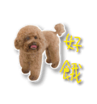 Baby brother to grow up（個別スタンプ：14）