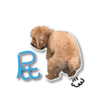 Baby brother to grow up（個別スタンプ：15）