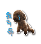 Baby brother to grow up（個別スタンプ：16）