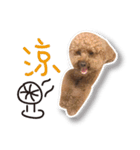 Baby brother to grow up（個別スタンプ：18）