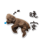 Baby brother to grow up（個別スタンプ：20）