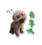 Baby brother to grow up（個別スタンプ：21）