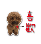 Baby brother to grow up（個別スタンプ：22）