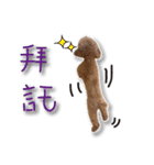 Baby brother to grow up（個別スタンプ：23）