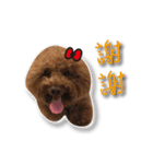 Baby brother to grow up（個別スタンプ：32）