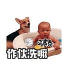 Nylson's life（個別スタンプ：29）