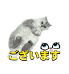 かわいい (KAWAI Double Cats)（個別スタンプ：9）