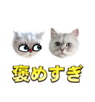 かわいい (KAWAI Double Cats)（個別スタンプ：37）