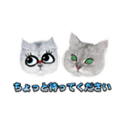 かわいい (KAWAI Double Cats)（個別スタンプ：38）