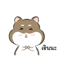 Khayao Hamster（個別スタンプ：24）