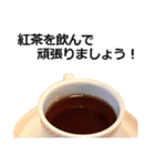 丁寧な紅茶（個別スタンプ：6）