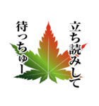 BookShop かえで（個別スタンプ：4）
