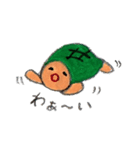 かめこ2（個別スタンプ：14）
