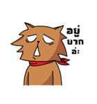 I'm your cat.（個別スタンプ：2）