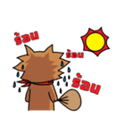 I'm your cat.（個別スタンプ：3）