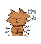 I'm your cat.（個別スタンプ：5）