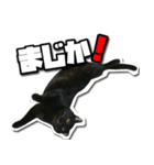 ENEMY×NOISE＆uni（個別スタンプ：4）