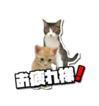 ENEMY×NOISE＆uni（個別スタンプ：13）