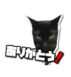 ENEMY×NOISE＆uni（個別スタンプ：14）