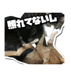 ENEMY×NOISE＆uni（個別スタンプ：25）