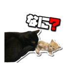 ENEMY×NOISE＆uni（個別スタンプ：39）