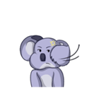 chubby koala（個別スタンプ：6）