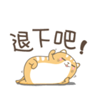 Cat M coming！（個別スタンプ：27）