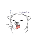 Daily Samoyed（個別スタンプ：6）