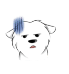 Daily Samoyed（個別スタンプ：7）