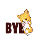 Corgi want to say (English Ver.)（個別スタンプ：1）
