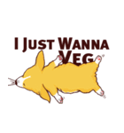 Corgi want to say (English Ver.)（個別スタンプ：14）