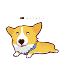 Corgi want to say (English Ver.)（個別スタンプ：17）