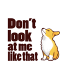 Corgi want to say (English Ver.)（個別スタンプ：30）