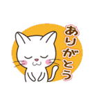 ほのぼのしろにゃんこ（個別スタンプ：9）