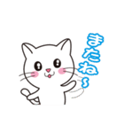 ほのぼのしろにゃんこ（個別スタンプ：11）