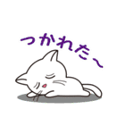 ほのぼのしろにゃんこ（個別スタンプ：21）