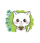 ほのぼのしろにゃんこ（個別スタンプ：22）