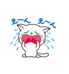 ほのぼのしろにゃんこ（個別スタンプ：24）