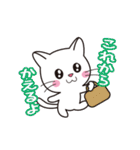 ほのぼのしろにゃんこ（個別スタンプ：31）