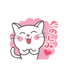 ほのぼのしろにゃんこ（個別スタンプ：34）
