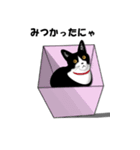 ガガにゃんのつぶやき（個別スタンプ：16）