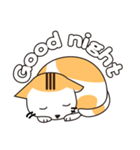 little V cat（個別スタンプ：1）