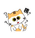 little V cat（個別スタンプ：25）