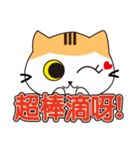 little V cat（個別スタンプ：31）