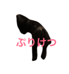まっくろミル（個別スタンプ：5）