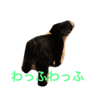 まっくろミル（個別スタンプ：7）