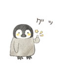 肯定的な優しいペンギン2☆絵本風（個別スタンプ：7）