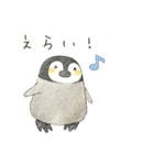 肯定的な優しいペンギン2☆絵本風（個別スタンプ：14）