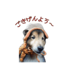 Lucky Dog vol.1（個別スタンプ：1）
