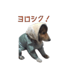 Lucky Dog vol.1（個別スタンプ：7）